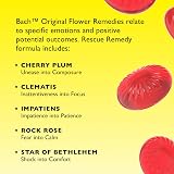 Rescue Rescue Kids Pastilles Strawberry Calm Daily Kids Bond Brand view 5