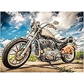 CXYQLC DIY 5D Diamond Painting Kits for Adults,Diamond Painting Full Drill Crystal Rhinestone Embroidery Craft Kits for Home Wall Decor Gifts 11.8x15.7inch(Motorcycle)