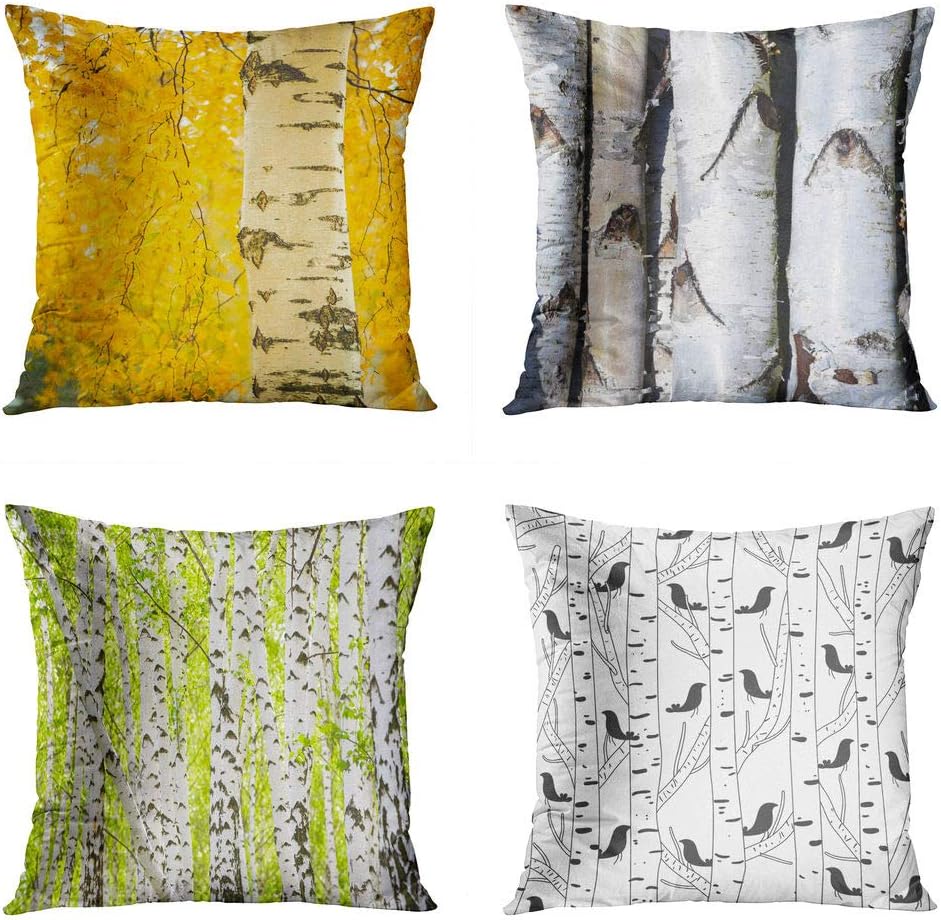 Best Birchwood Cat Bedding