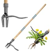 Daxguard Stand Up Weed Puller, Adjustable Bamboo 4-Claw Steel Garden Weeder | Pedal breaks hard soil, claws grip weed roots completely. No stooping protects your waist for easier garden maintenance