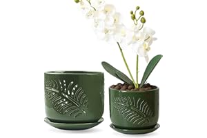 LITUDISO Ceramic Orchid Pots, 6+5 inch Orchid Pots with Holes,Orchid Pots for Repotting,Healthy Air Circulation Plant Pots for Plant Lovers,Planters for Indoor/Outdoor Plants -2 Pack