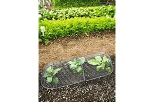 GARDENER'S SUPPLY COMPANY Gardener’s Supply Company Chicken Wire Cloche Garden Row Plant Protector | Sturdy Metal Protection for Seedlings and Crops from Wild Animals & Pets | 2 Section Set