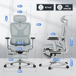FLEXISPOT ErgoX Premium Ergonomic Office Chair with