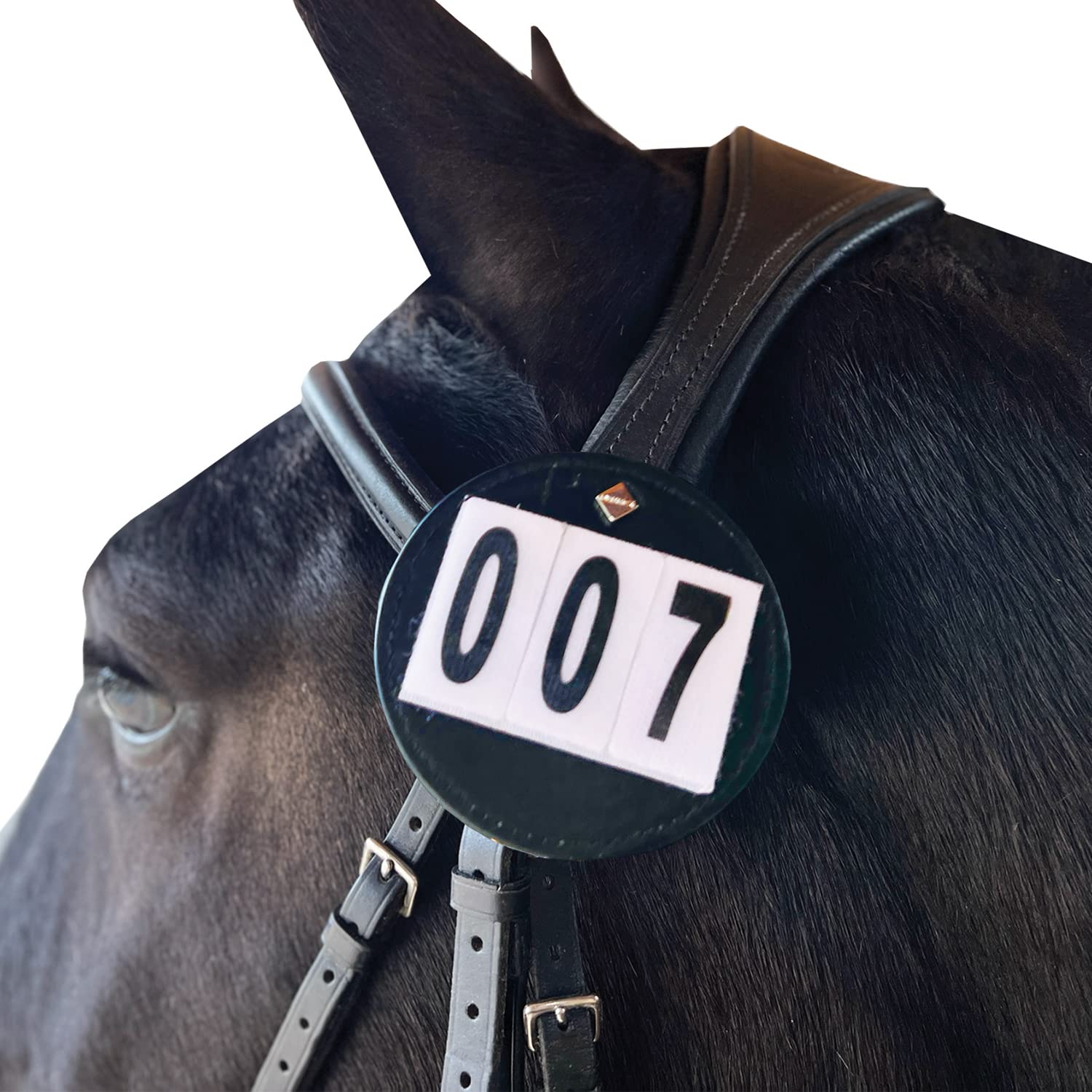 Equetech Luxe Dressage Bridle Number Holders - 2 colours NEW (White)