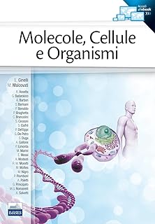 Chimica Un Approccio Molecolare Pdf Viewer Chimica Un Approccio Molecolare Pdf Viewer