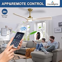 BvenuBigLite Ceiling Fan with Light Modern: 52 Inch