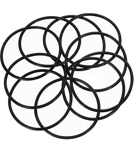Hoshizaki 4A1234-01 O-Ring: Amazon.com: Industrial & Scientific