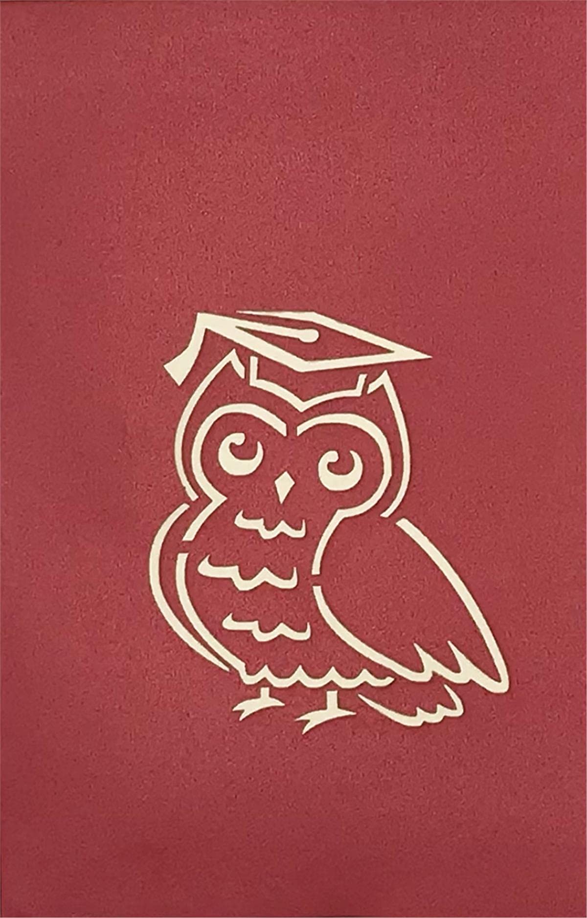 Origami Surprise Graduation Greeting Card