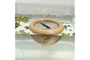 HOZOE Aquarium Floating Betta Fish Skins, Betta or Shrimp Feeder, Cave and Hammock, Small Fish Feeding Rings, Aquarium Hiding Feeding Decorative Accessories (Wood Color)
