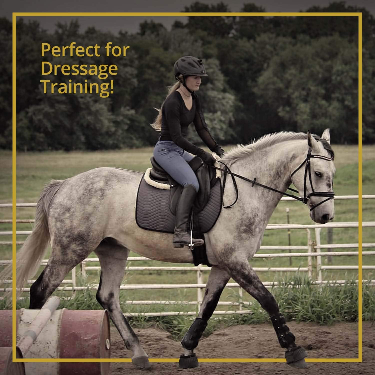 Kavallerie Dressage Boots for Horses Pro-K 3D Air-Mesh Horse Boots, Secure Leg Protection, Lightweight and Tough White & Black Dressage Sports Boots: Pet Supplies