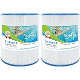 BLUEFLO C-8465 Spa Filter Cartridge Replacement Compatible with Watkins 31114, Pleatco PWK65, Filbur FC-3960, 71827, 71828, Tiger River Spa Filter, Watkins 65 Sq.Ft Hot Tub, 2 Pack