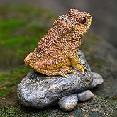 Lifelike Resin Toad Figurine - Hand-Sized 3.5"x2.2"x2.8" Frog Garden Decor, Weatherproof Outdoor Statue for Patio &amp; Yard