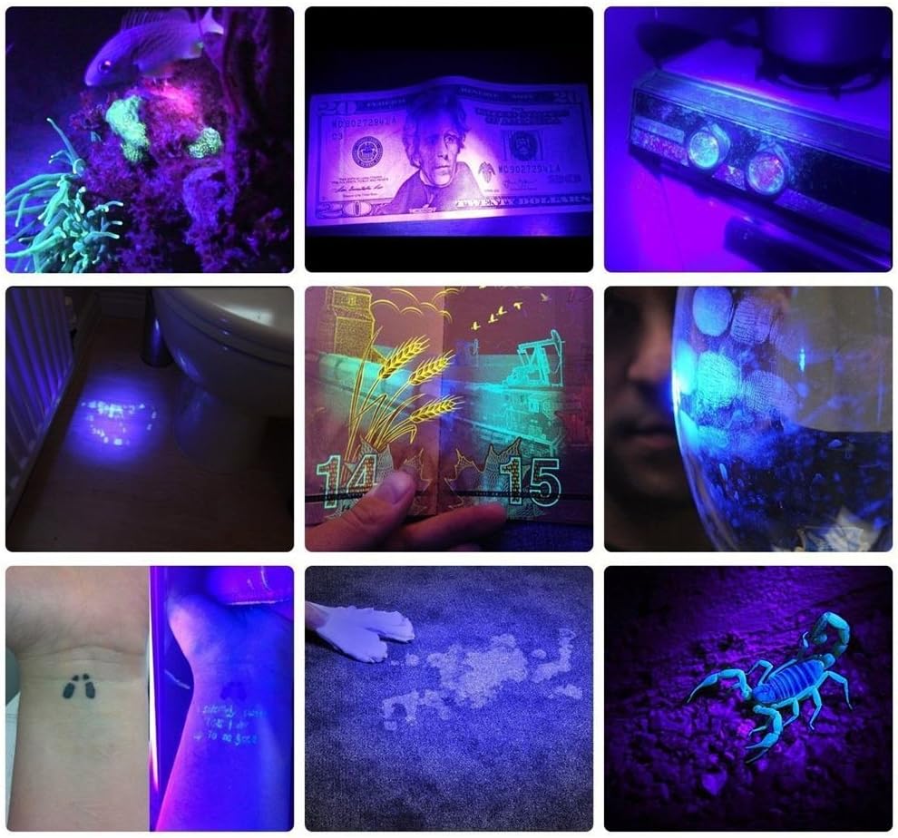 UV Tactical Flashlights LED Black Light Handheld Flashlight Adjustable Focus Waterproof Lamp Rechargeable Batteries Dimmable Blacklight Detector for Spot Carpet Pet Urine Stain Catch - - 