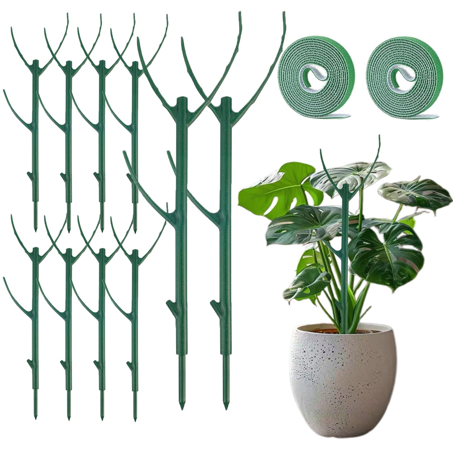 Photo 1 of 10PCS Monstera Plant Support, Stackable Plant Stakes for Indoor Plants, Plant Sticks Support Tall for Climbing Potted Plants
