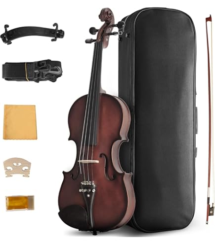 Amazon.com: Ceciliec 4/4 Violin For Beginners, CVN-300 Full Size