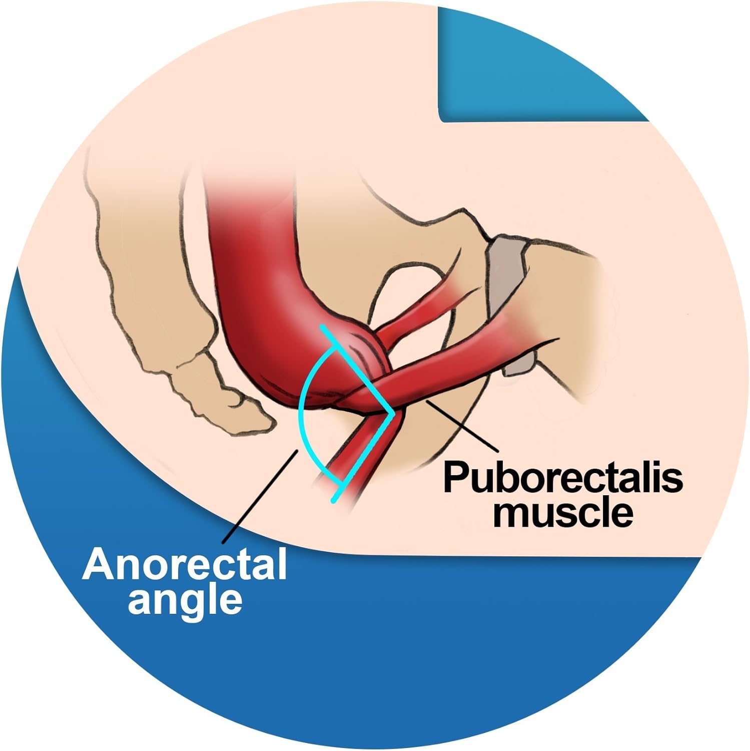 Step and Go Bamboo Squatting Toilet Stool for Potty Aid (7" and 9"): Health & Personal Care
