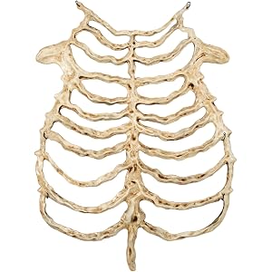 Bydezcon Practical Lightweight Skeleton Role Play Suit Perfect for Cosplay and Theater Productions Skeleton Props