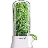 Prepara Eco Herb Savor Pod, Green, 6.2 x 2.9 x 10.7 inches