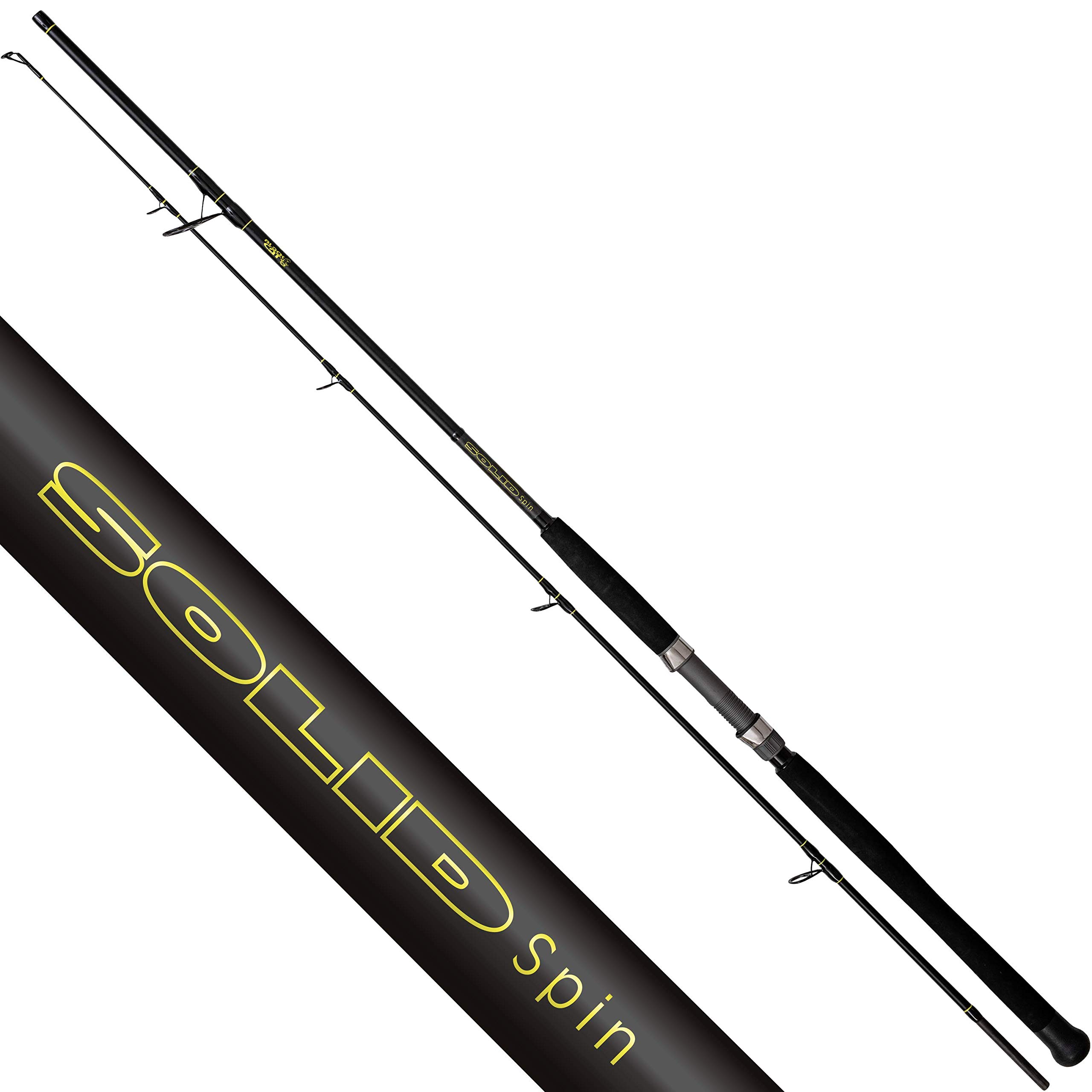 Black Cat Premium Catfish Rod Solid Spin Full Carbon Fishing Rod with 30 Tonnes Blank Spin Fishing on Catfish Rod Spinning Rod - Black, 2.70 m