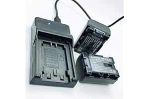 Battery 2 Pack and USB Rapid Travel Charger for JVC BN-VG107, BN-VG108, BN-VG114, BN-VG121, BN-VG121USM