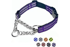 PUROAYET Martingale Dog Collars, Reflective Nylon Collar with Stainless Steel Chain, Adjustable Walking Training Dog Collars with Quick Release Buckle, Suitable for Small Medium Large Dogs(Purple,XL)