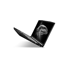 MSI Creator M16 Professional Laptop: 16" QHD+ 60Hz