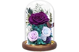 DSUTO Valentine's Day Roses Gifts for Her, Preserved Flowers Bouquet in Glass Dome, Forever Fresh Flower for Delivery Prime as Mother's Day Birthday Gifts for Women Mom Grandma Friend Wife Girlfriend-Purple