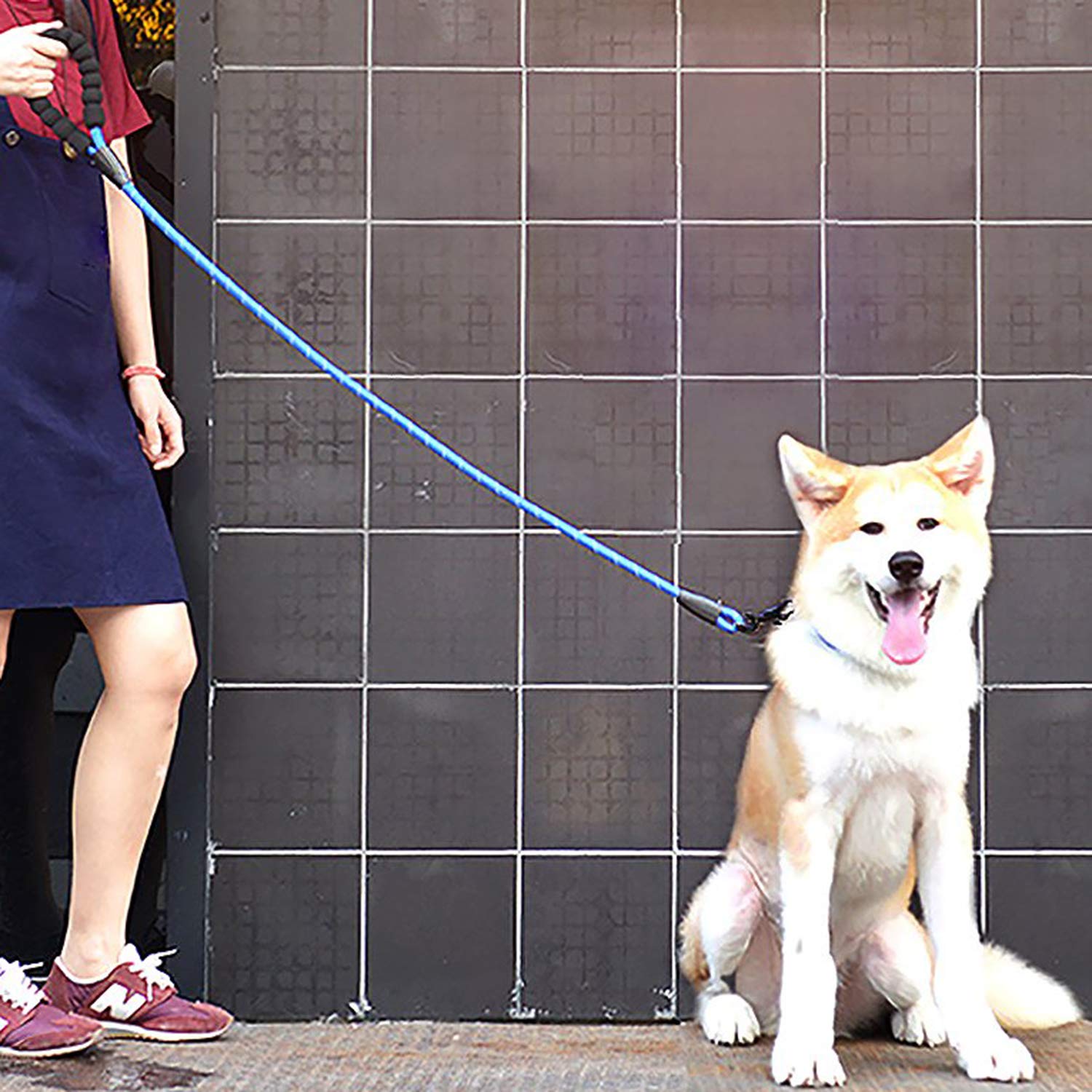 LLGLEU 5FT Hundeleine mit Bequemen Gepolsterten Griff Starke Reflexnähte der Trainingsleine für Sicherheit Nachts, eignet für Alle Größe Hunde (Schwarz & Blau)