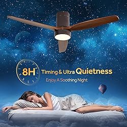 CACI Mall Low Profile Ceiling Fan with Lights, 52
