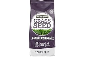 Pennington Annual Ryegrass Grass Seed 10 lb