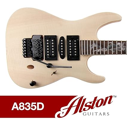 Amazon.com: Alston Guitars - DIY Electric Guitar Kit | Bolt On ...