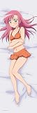 ハヤテのごとく!!抱き枕カバー 桂ヒナギク