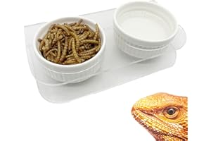 GXSDJ Crested Gecko Food Dish Crested Gecko Feeding Ledge Magnetic Reptile Ledge Gecko Food Dish with 2pcs Ceramic Cups Acrylic Pasteable for Snake Bearded Dragon Chameleon Lizard Frog Ball Python
