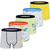 GRPSKCOS Boys Dinosaur Underwear- Pack of 5 Soft Cartoon Colorful Boxer Shorts Briefs with Fun for Kids 2-8 Years Old