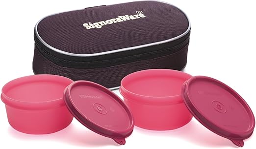 signoraware executive glass lunch box with bag
