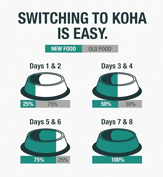 KOHA LIMITED INGREDIENT DIET RABBIT PATE FOR CATS – SINGLE MEAT WET CAT FOOD FOR SENSITIVE STOMACHS – *NEW BATCH JANUARY 2025, IMPROVED, SMOOTH TEXTURE* – PATE CAT FOOD, NO FILLERS – 5.5OZ PACK OF 24