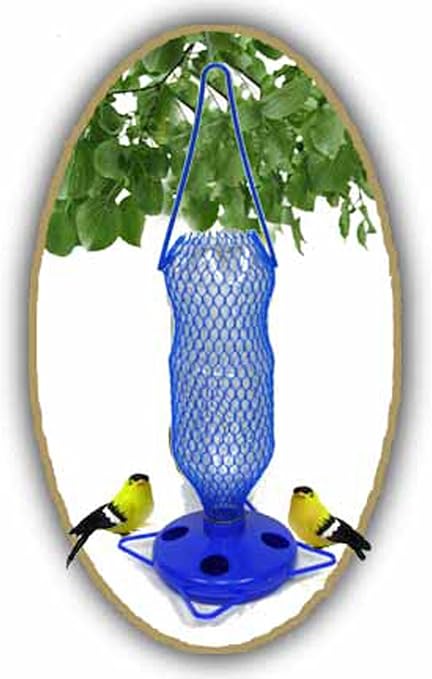 Amazon Com Gadjit Soda Bottle Wild Bird Watering Well Kits Pack