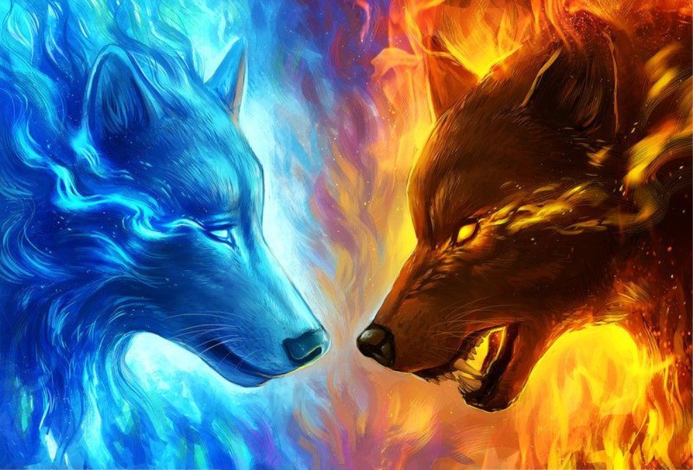 WOWDECOR Paint by Number Kits for Adults Beginners, DIY Number Painting Ice and Fire Wolf Animals 40x50 cm Wall Art Decor (Wolf, Framed)