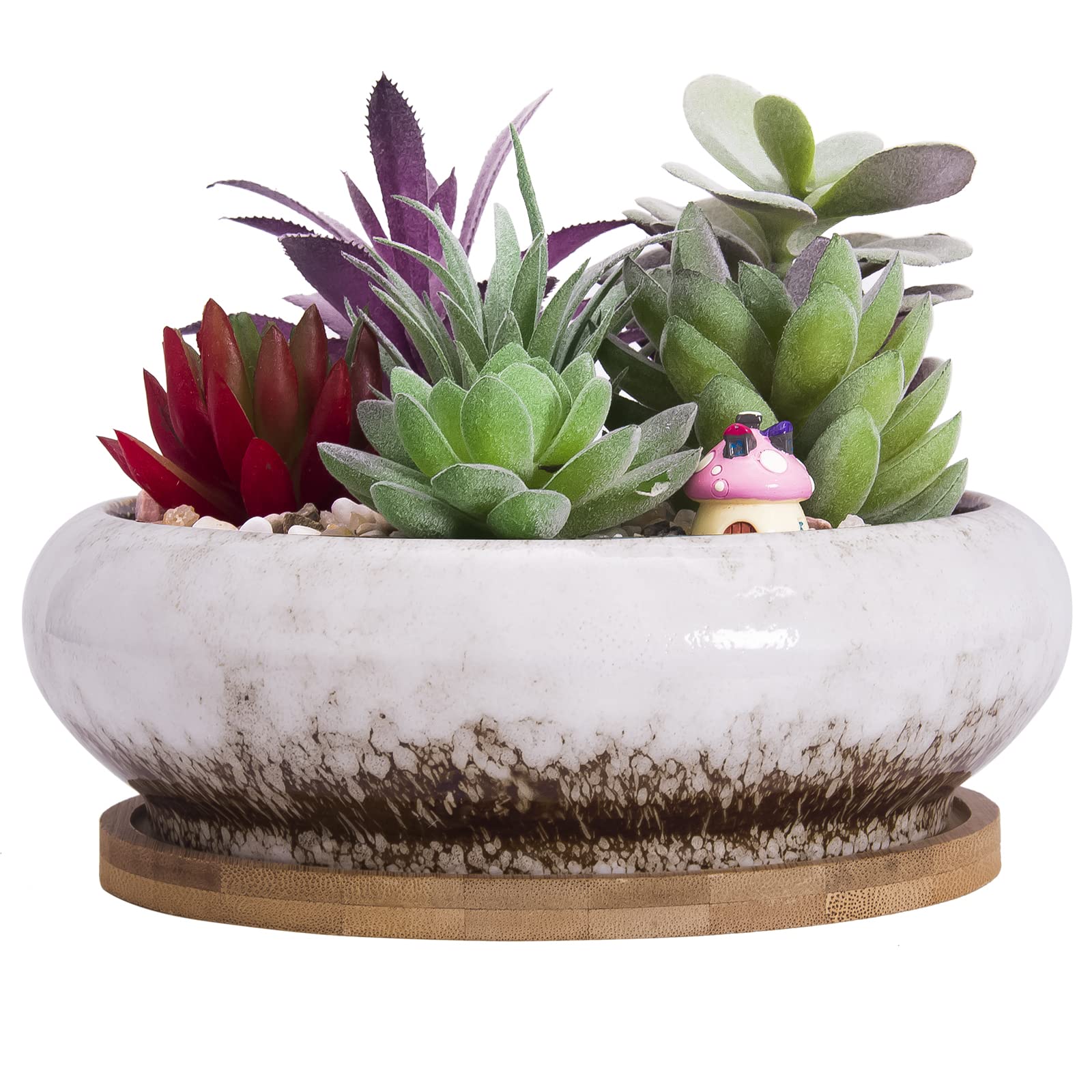 Succulent Plant Pot, 18.5CM Large Bonsai Pot with Tray Ceramic Succulent Pot with Drainage Hole Shallow Cactus Flower Pots for Indoor/Outdoor Plants Glazed Planter Bowl, White