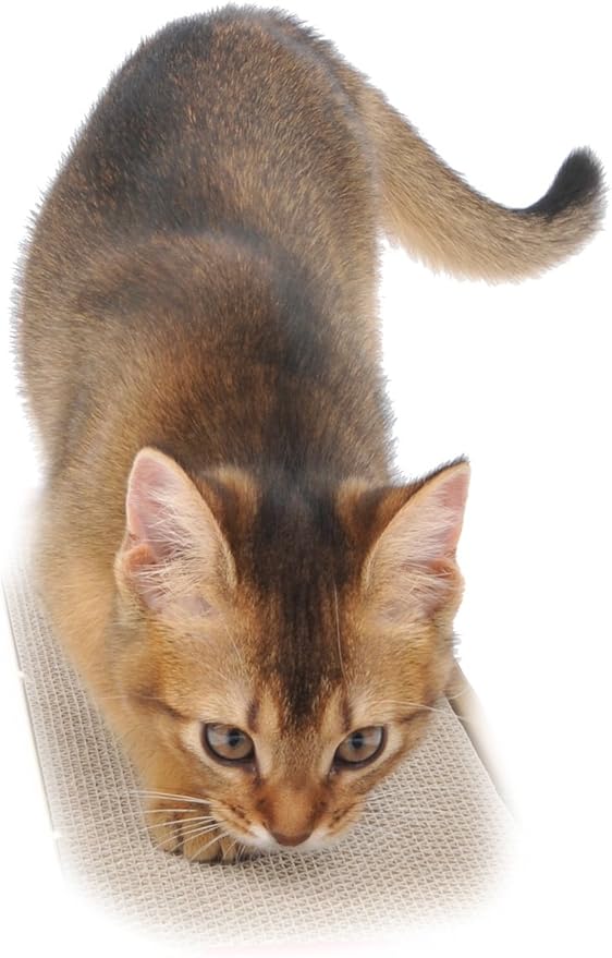 Amazon ペティオ Petio カーペットつめみがき ペティオ Petio 爪とぎ 通販