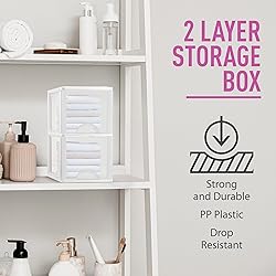 Plastic Small 2-Drawer Storage Organizer, Slim