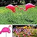 Paradise Treasures Bright Pink Flamingo Garden Yard with Stake Ornament (2pack)