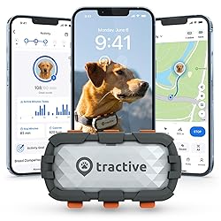 Tractive XL Smart Dog GPS Tracker | Live Pet