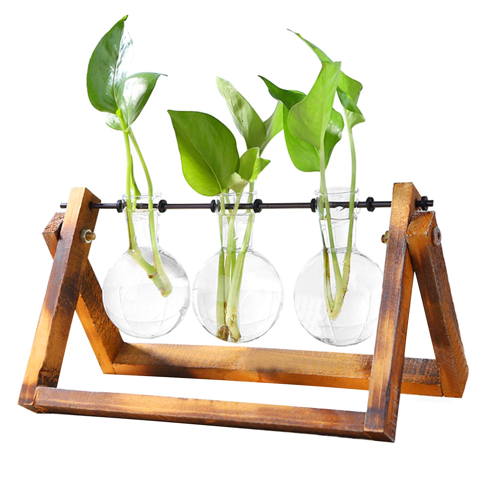 Buy Desktop Terrarium Bulb Vase Glass er Propagation Station