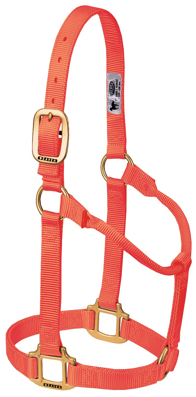 Weaver Leather Original Non Adjustable Halter Med. Blaze Orange
