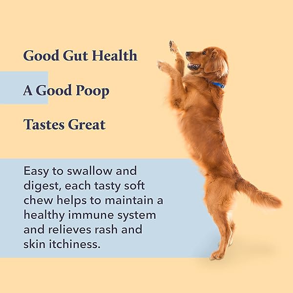 KENN & KIT SUPPLEMENTS FOR DOGS (DIGESTIVE HEALTH)