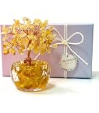 Amazon.com: Picmoo Feng Shui Citrine Money Tree and Crystal Faucet