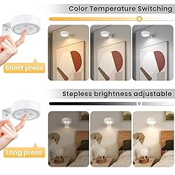 2-Pack Picture Light Battery Operated, LED Painting