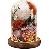 HUACHIPLUS Forever Flowers with Symbolic Ladybugs: Preserved Flowers Gift for Women-Romantic Table Centerpiece-Valentines, Anniversary, Mom Gifts for Her-Flowers for Delivery Prime (Orange)