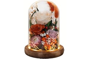 HUACHIPLUS Forever Flowers with Symbolic Ladybugs: Preserved Flowers Gift for Women-Romantic Table Centerpiece-Valentines, Anniversary, Mom Gifts for Her-Flowers for Delivery Prime (Orange)